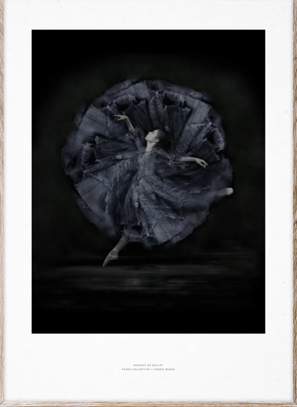 Paper Collective Poster 'Essence of Ballet 06' 50x70 - Svart/Vit