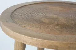 Zuiver Sidobord 'Dendron' L - Natur