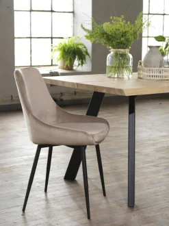 Rowico Home Stol 'Sierra' - Beige