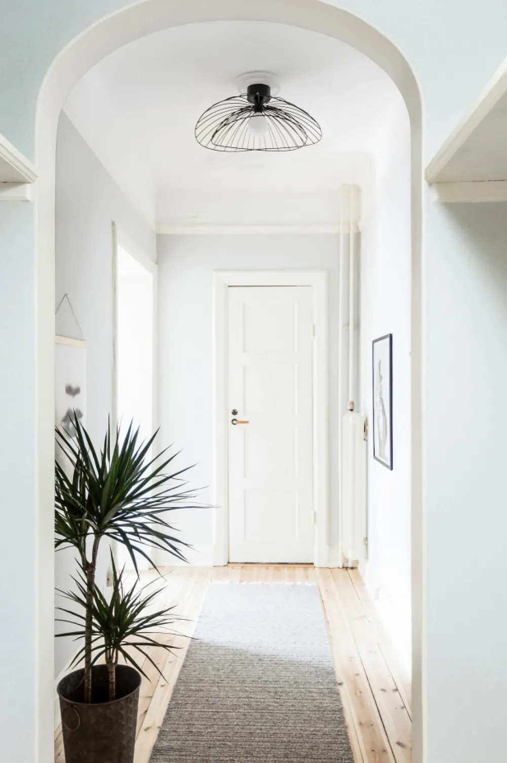 Globen Lighting Taklampa 'Ray' - Svart